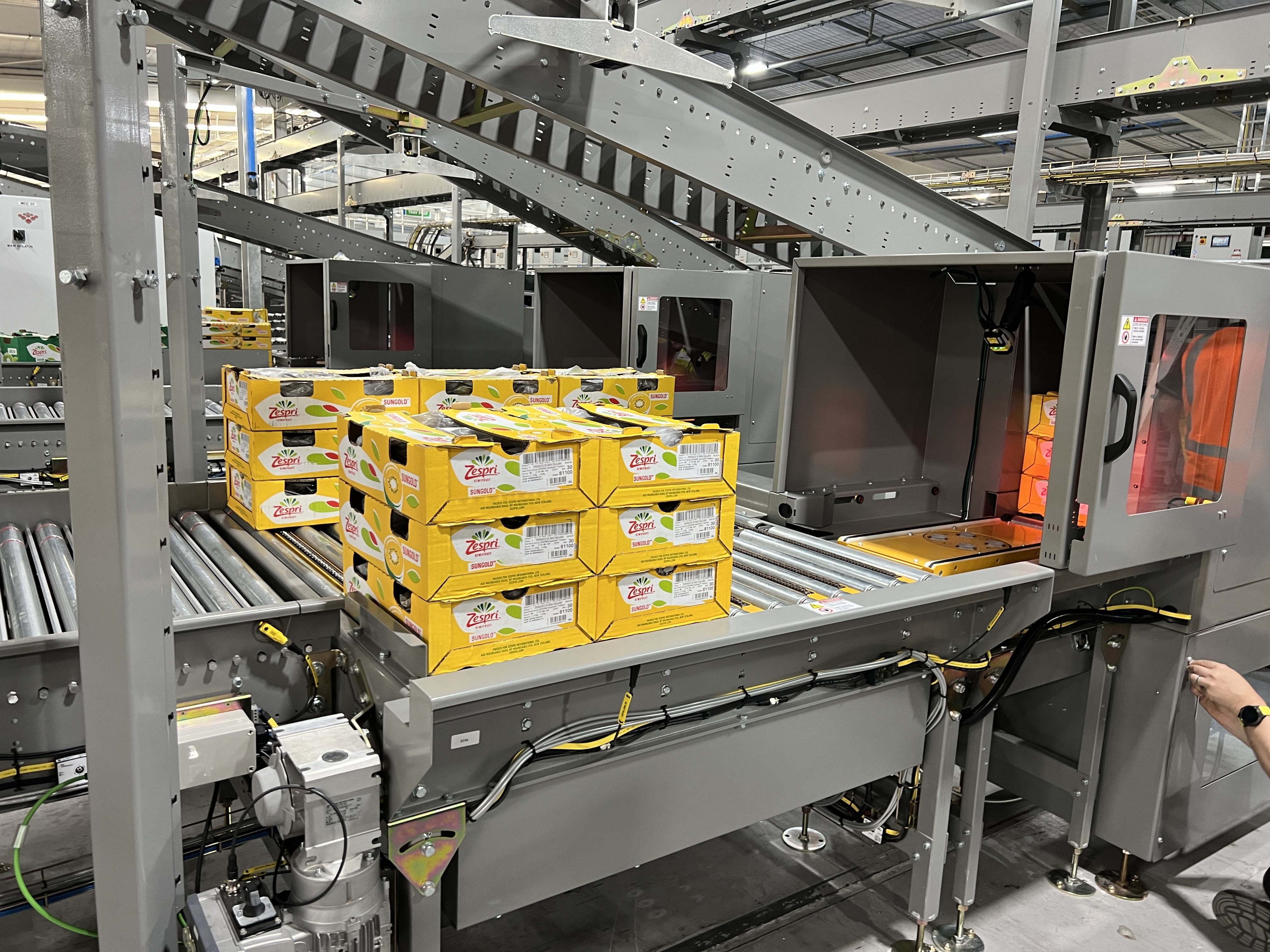 Top Features to look for in modular conveyors for post-grading systems